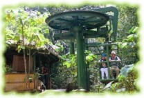 Rainforest Aerial Tram