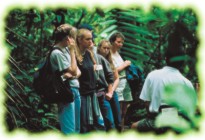 Hiking in the Rainforest