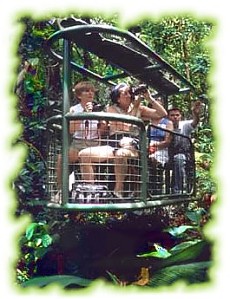 Rainforest Aerial Tram