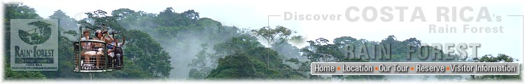 Rainforest Aerial Tram