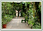 Board Walk