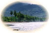 Uvita