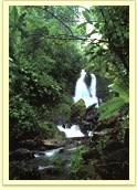 Corcovado National Park