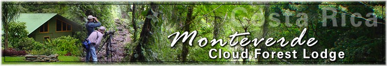 Monteverde Cloud Forest Lodge