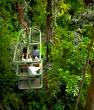 Rainforest Aerial Tram