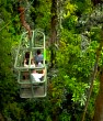 Rainforest Aerial Tram