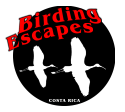 Birding Costa Rica with Birding Escapes