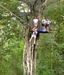 Canopy Tour Monteverde