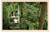Rainforest Aerial Tram