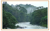 Braulio Carrillo National Park