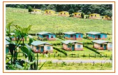 Farm land in the Caribbean Plains