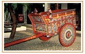 Oxcart