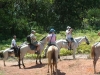 Cabalgatas en Rancho La Merced