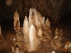 Caminata Cavernas de Savegre