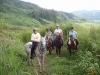 Tropical Horseback Riding
