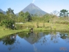 Nature History Walk to Arenal