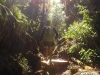 Uran-Chirripo Loop - 4 Days/3 Nights