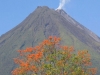 Nature History Walk to Arenal