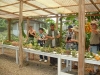 Tropical Plantation Tour CATIE