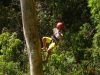 Osa Canopy Tour