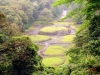 Guayabo Archeological Site
