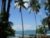 Corcovado & South Valleys