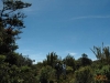 Tapir Trek