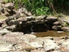Guayabo Archeological Site