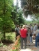 TOUR DE PLANTACIÃ“N CATIE
