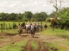 Arenal Canopy Tour