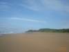 Bosque Y Playa