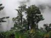 Poas Volcano Tour