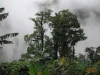 Poas Volcano & La Paz Waterfall Gardens