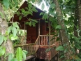 Pachira Lodge