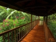 Selva Verde Lodge