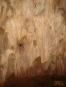 Savegre Caves Trek