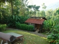 Selva Bananito Lodge