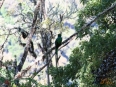 Cabinas El Quetzal