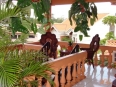 Adventure Inn Hotel