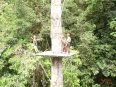 Tour de Canopy Osa