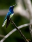 Rancho Naturalista