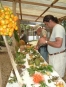 Tropical Plantation Tour CATIE