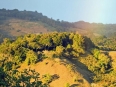 Toucanet Lodge