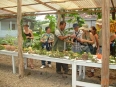Tropical Plantation Tour CATIE