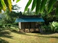 Selva Bananito Lodge