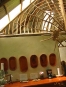 Danta Corcovado Lodge