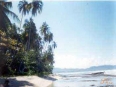 Calalu Bungalows