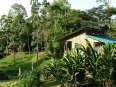 Selva Bananito Lodge