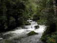 Suria Lodge