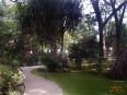 Hotel Capitan Suizo